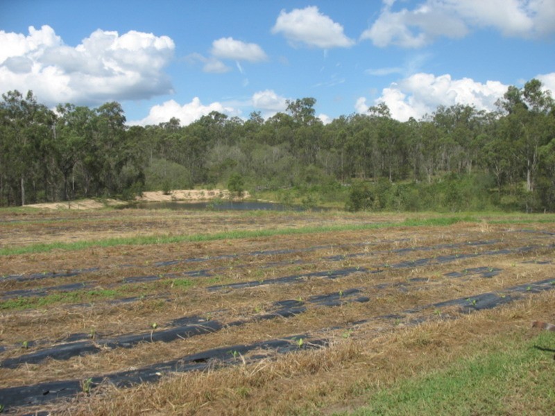 265 Bunns Road, Apple Tree Creek QLD 4660