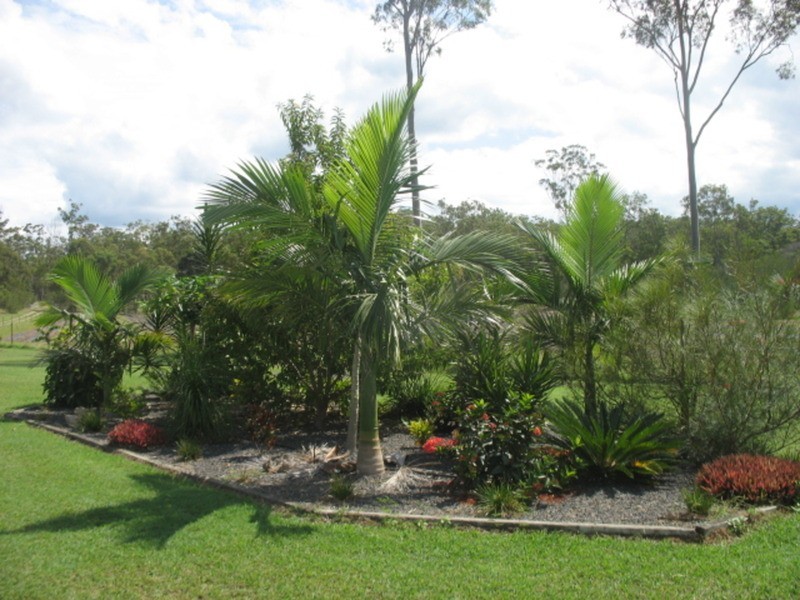 265 Bunns Road, Apple Tree Creek QLD 4660