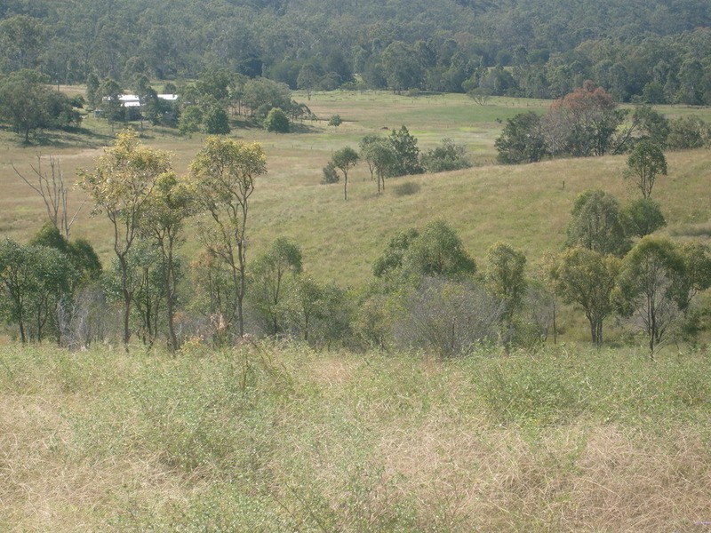 43 Mount Shamrock Road, Coringa QLD 4621