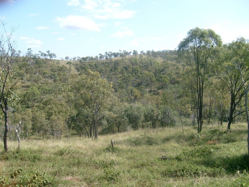 43 Mount Shamrock Road, Coringa QLD 4621