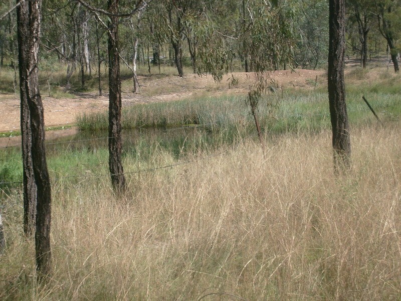 43 Mount Shamrock Road, Coringa QLD 4621