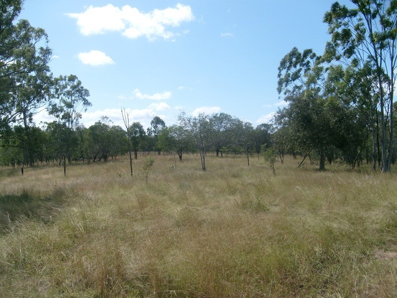 43 Mount Shamrock Road, Coringa QLD 4621