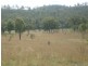 43 Mount Shamrock Road, Coringa QLD 4621
