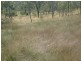43 Mount Shamrock Road, Coringa QLD 4621