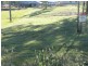 18 Wallace Street, Apple Tree Creek QLD 4660