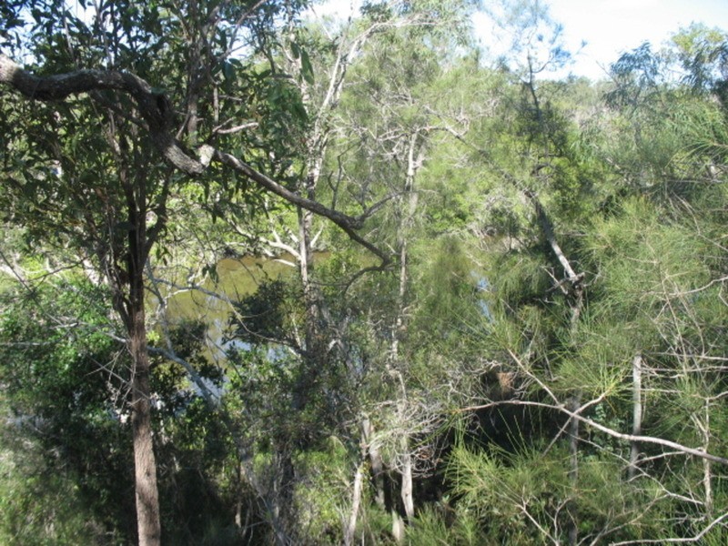 1450 Buxton Road, Buxton QLD 4660