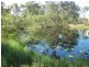 1450 Buxton Road, Buxton QLD 4660