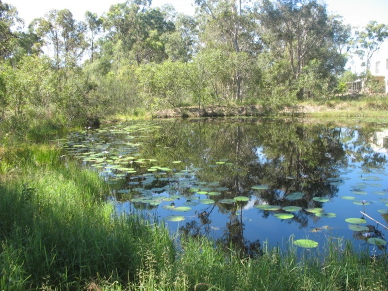 1450 Buxton Road, Buxton QLD 4660
