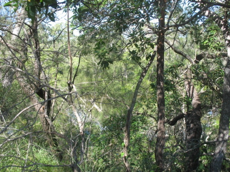 1450 Buxton Road, Buxton QLD 4660