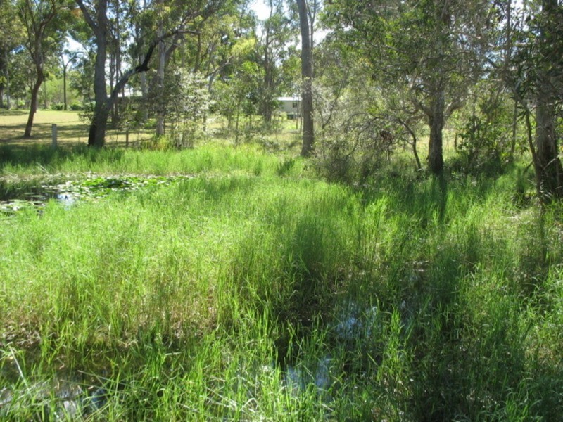 1450 Buxton Road, Buxton QLD 4660