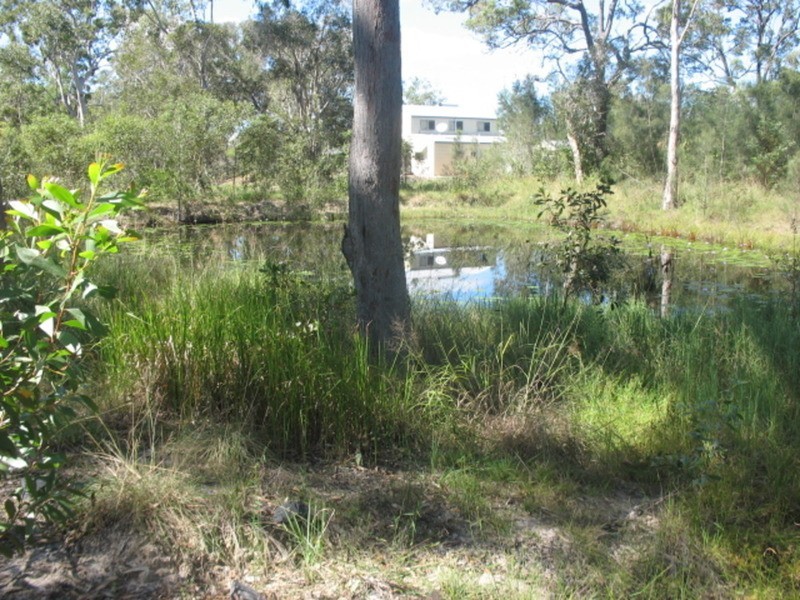 1450 Buxton Road, Buxton QLD 4660