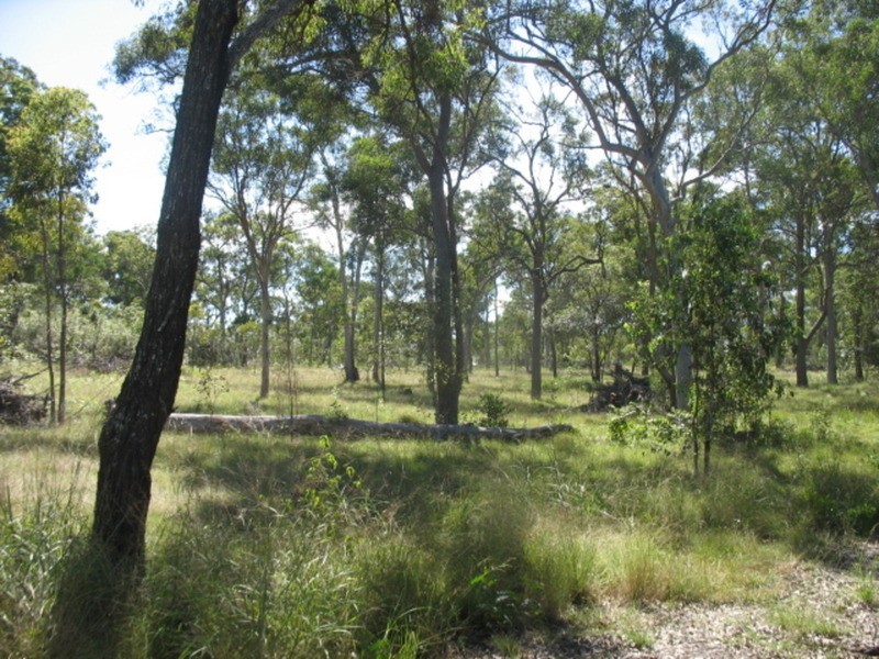 1450 Buxton Road, Buxton QLD 4660