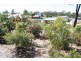 6 Cockatoo Court, Apple Tree Creek QLD 4660