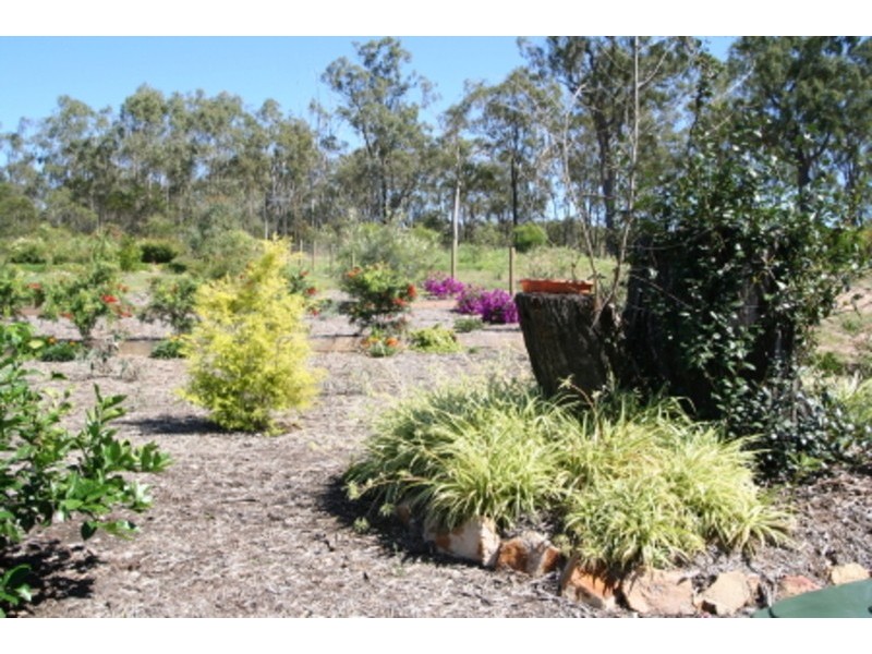 6 Cockatoo Court, Apple Tree Creek QLD 4660