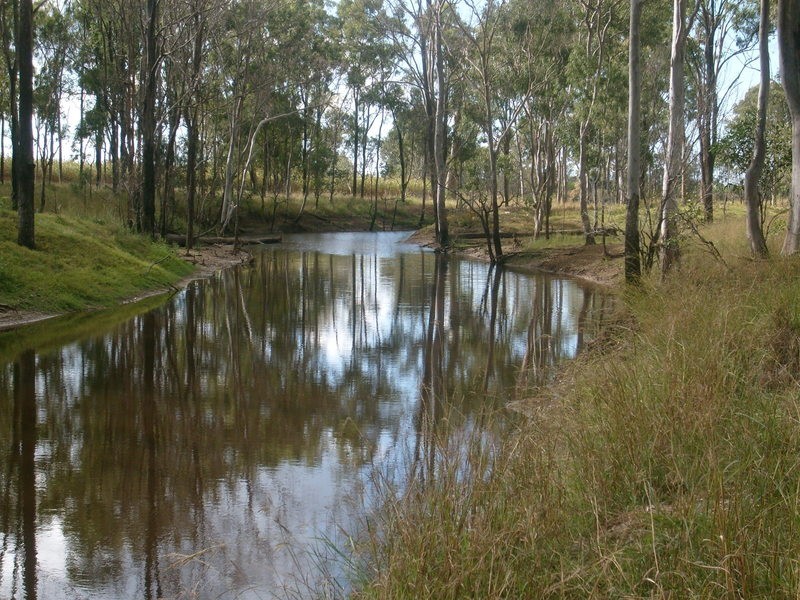 1312 Bucca Road, Bucca QLD 4670