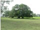 1312 Bucca Road, Bucca QLD 4670