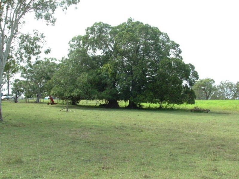 1312 Bucca Road, Bucca QLD 4670