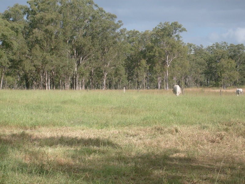 1312 Bucca Road, Bucca QLD 4670