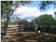 1312 Bucca Road, Bucca QLD 4670