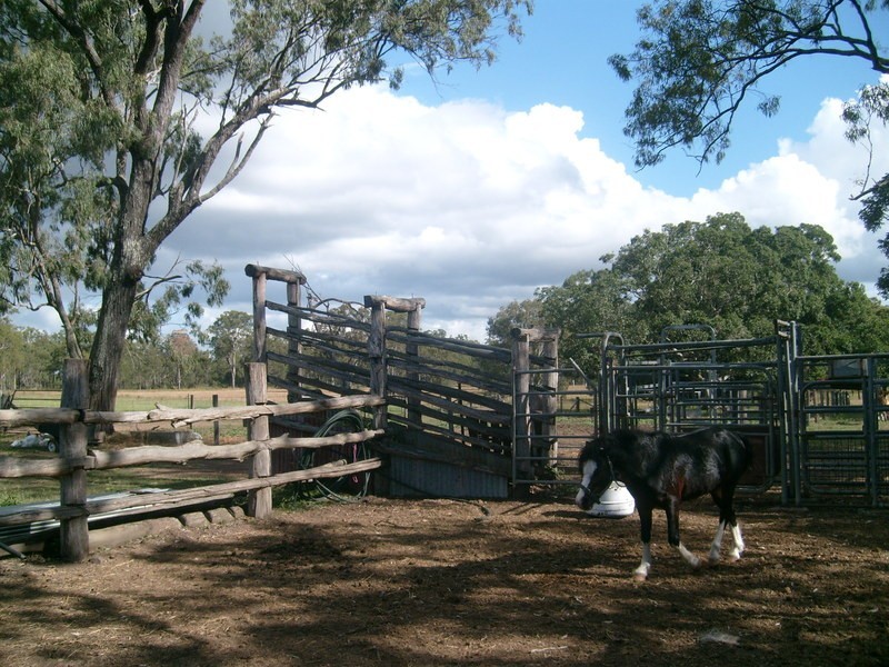 1312 Bucca Road, Bucca QLD 4670
