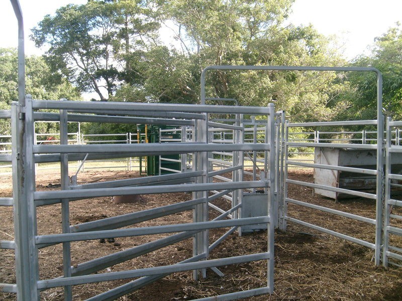 1312 Bucca Road, Bucca QLD 4670