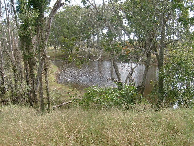 1312 Bucca Road, Bucca QLD 4670