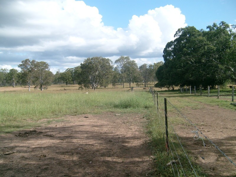 1312 Bucca Road, Bucca QLD 4670