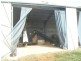 1312 Bucca Road, Bucca QLD 4670