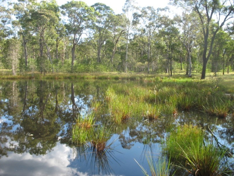 27551 Bruce Highway, Isis River QLD 4660