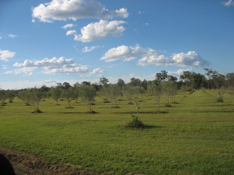 27551 Bruce Highway, Isis River QLD 4660