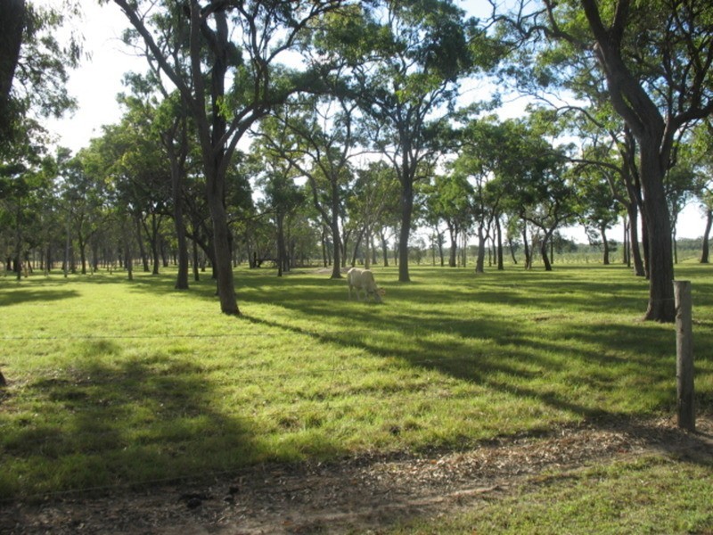 27551 Bruce Highway, Isis River QLD 4660