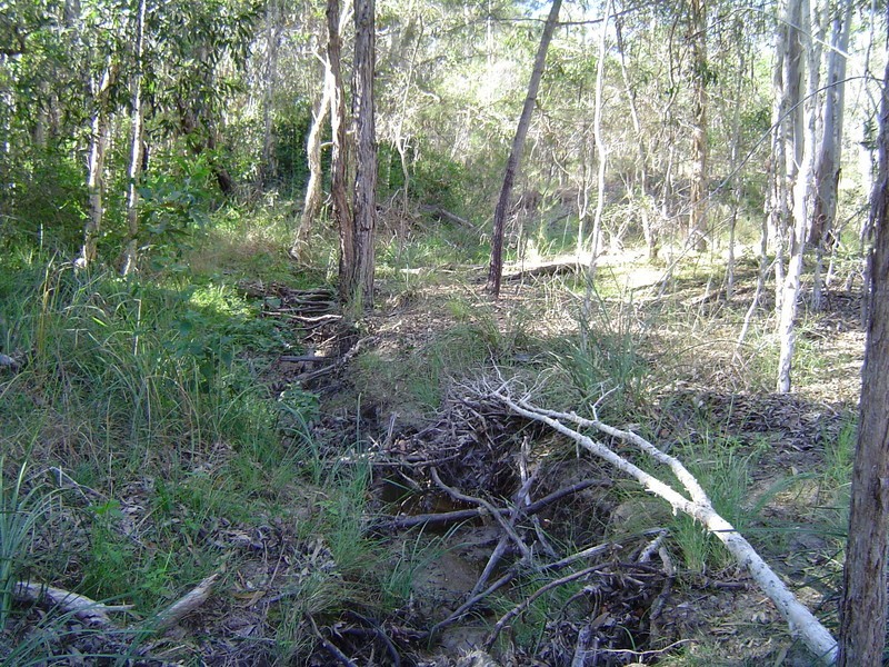 417 Adies Road, Isis Central QLD 4660