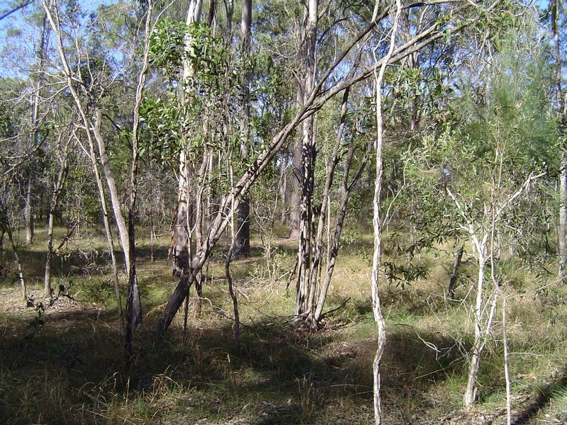 417 Adies Road, Isis Central QLD 4660