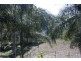 238 Old Creek Road, Childers QLD 4660