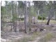 715 Berries Road, Eureka QLD 4660