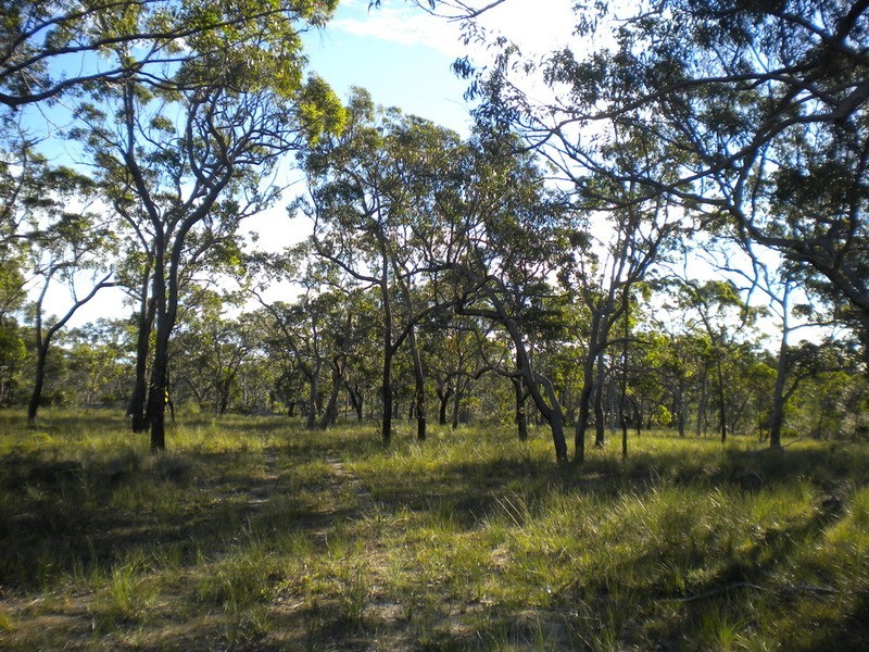 27 Devils Elbow Road, Buxton QLD 4660