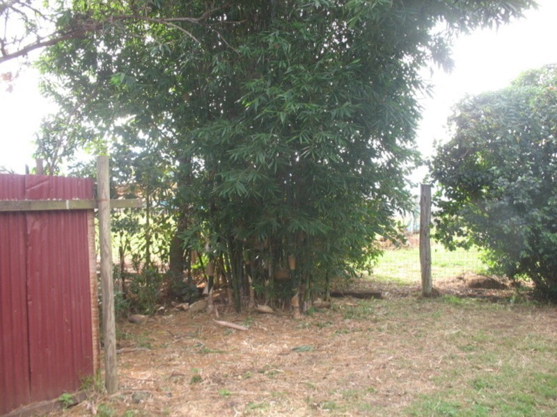 29408 Bruce Highway, Apple Tree Creek QLD 4660