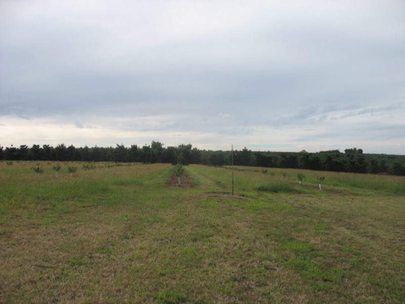 141 Doolbi Dam Road, Doolbi QLD 4660