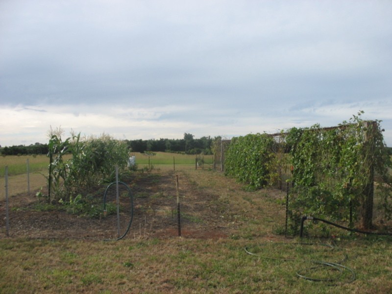 141 Doolbi Dam Road, Doolbi QLD 4660