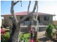 16 Watkins Street, Buxton QLD 4660