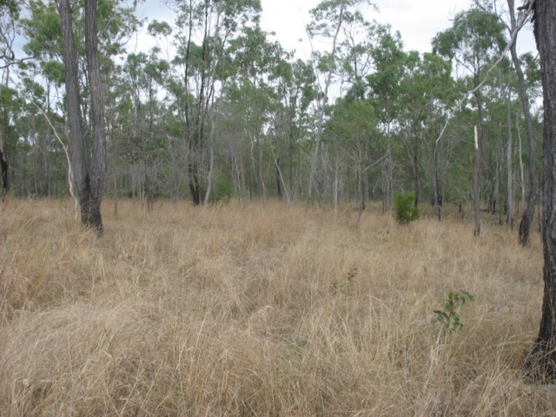 lot 2 Goodnight Scrub Road, Good Night QLD 4671