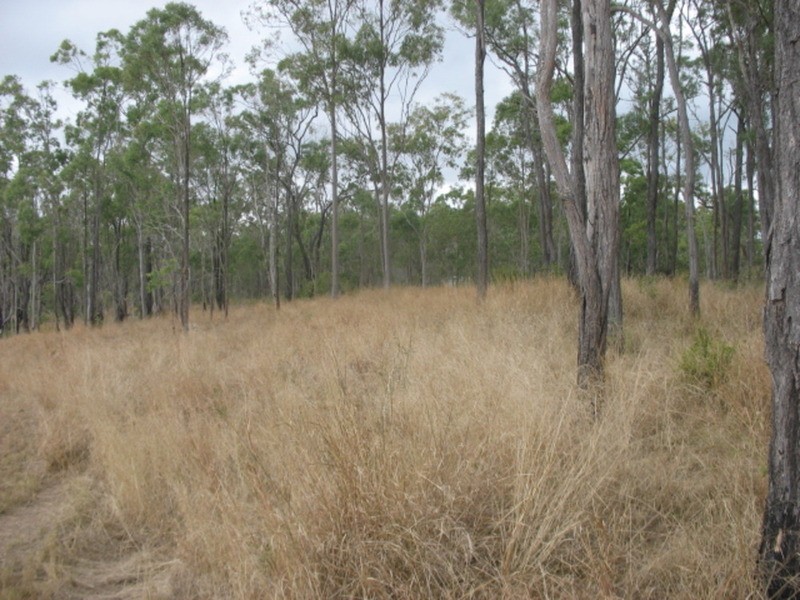 lot 2 Goodnight Scrub Road, Good Night QLD 4671