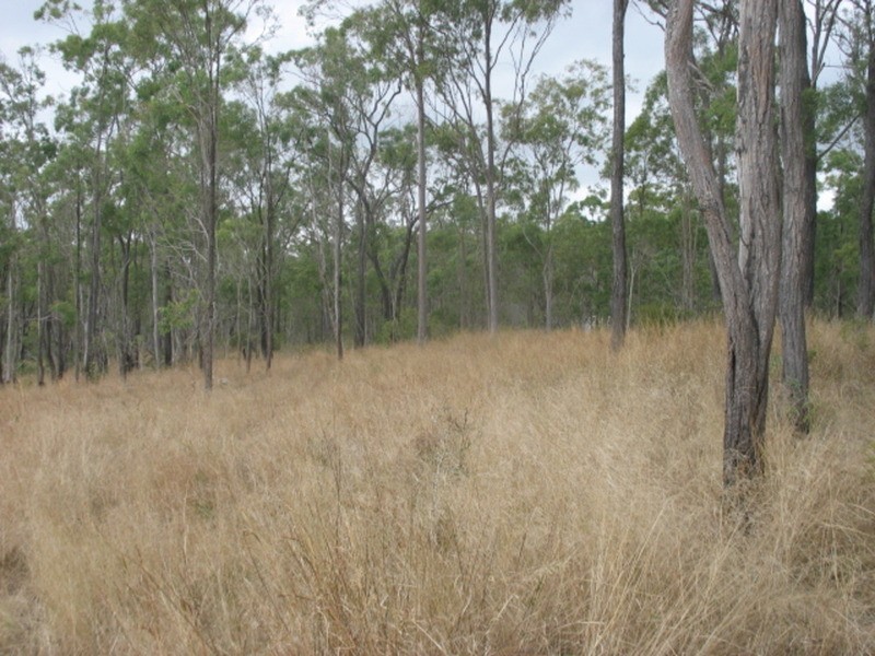 lot 2 Goodnight Scrub Road, Good Night QLD 4671