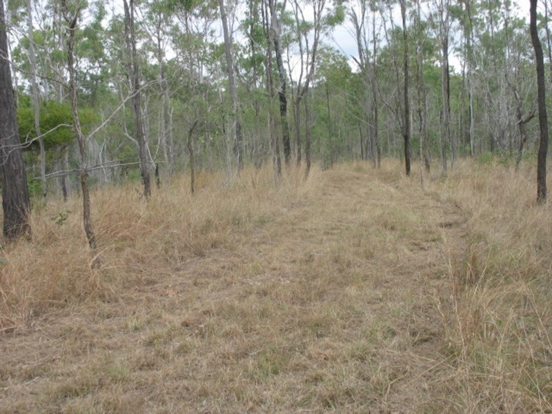 lot 2 Goodnight Scrub Road, Good Night QLD 4671