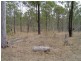 lot 2 Goodnight Scrub Road, Good Night QLD 4671