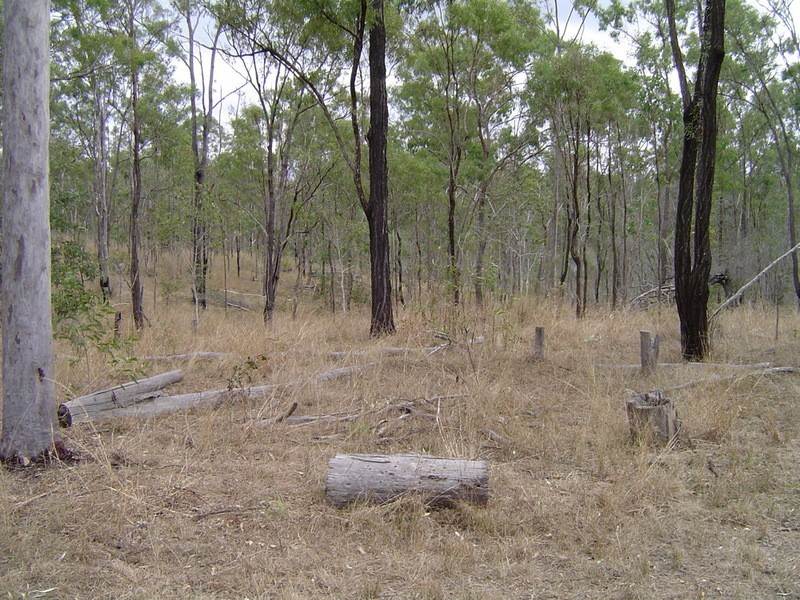 lot 2 Goodnight Scrub Road, Good Night QLD 4671