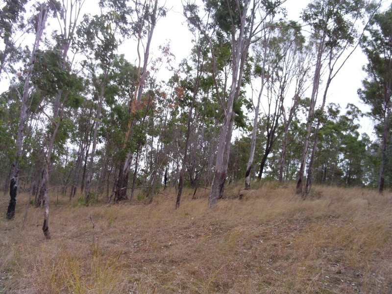 lot 2 Goodnight Scrub Road, Good Night QLD 4671