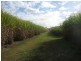 1231 Goodwood Road, Redridge QLD 4660
