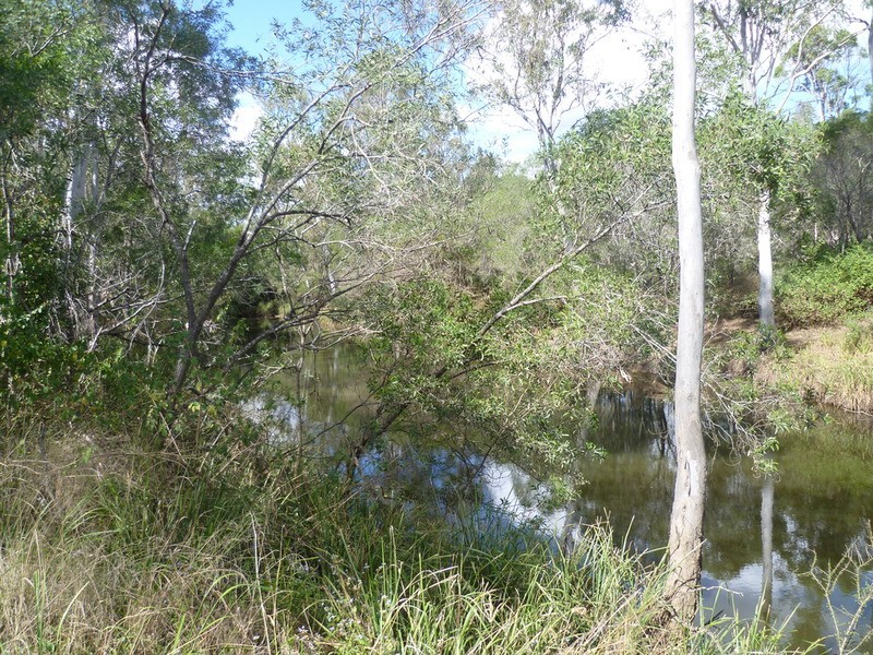 263 Webbs Road, Redridge QLD 4660