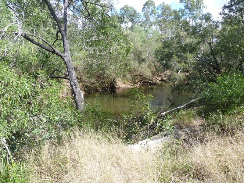 263 Webbs Road, Redridge QLD 4660